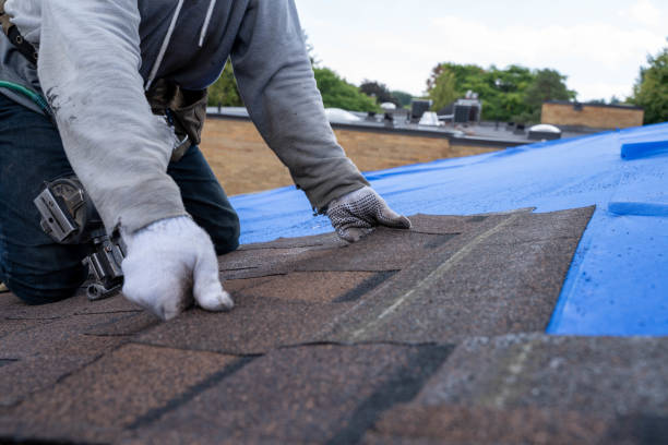 Quick and Trustworthy Emergency Roof Repair Services in Bremerton, WA