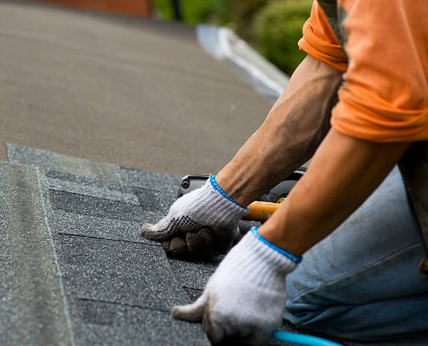 Best Storm Damage Roof Repair  in Bremerton, WA